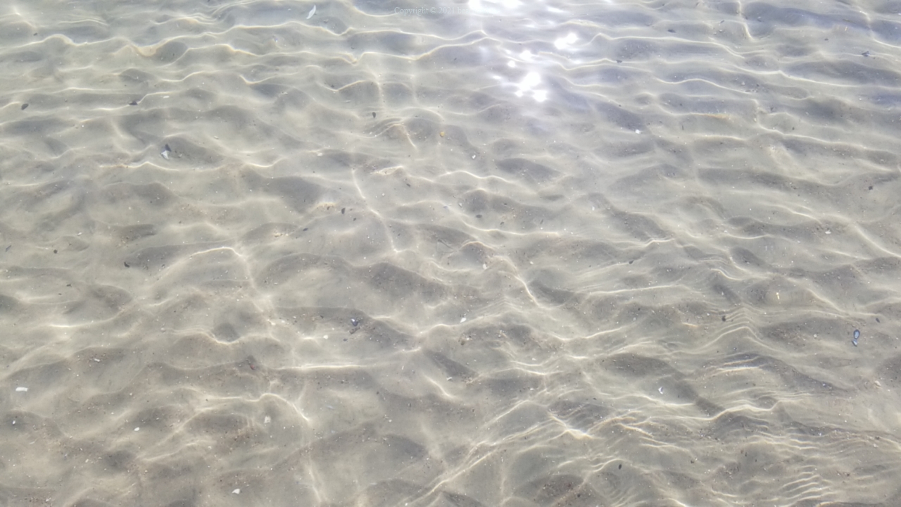 Ocean