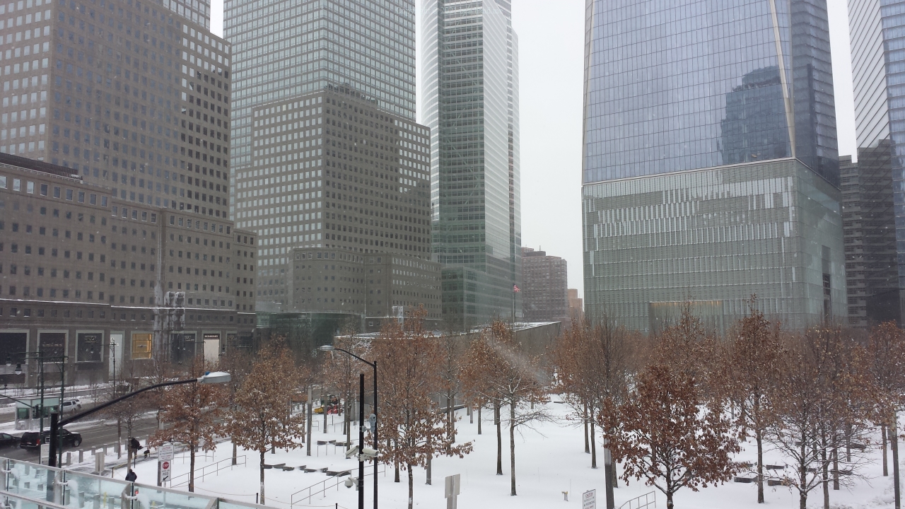 NY City