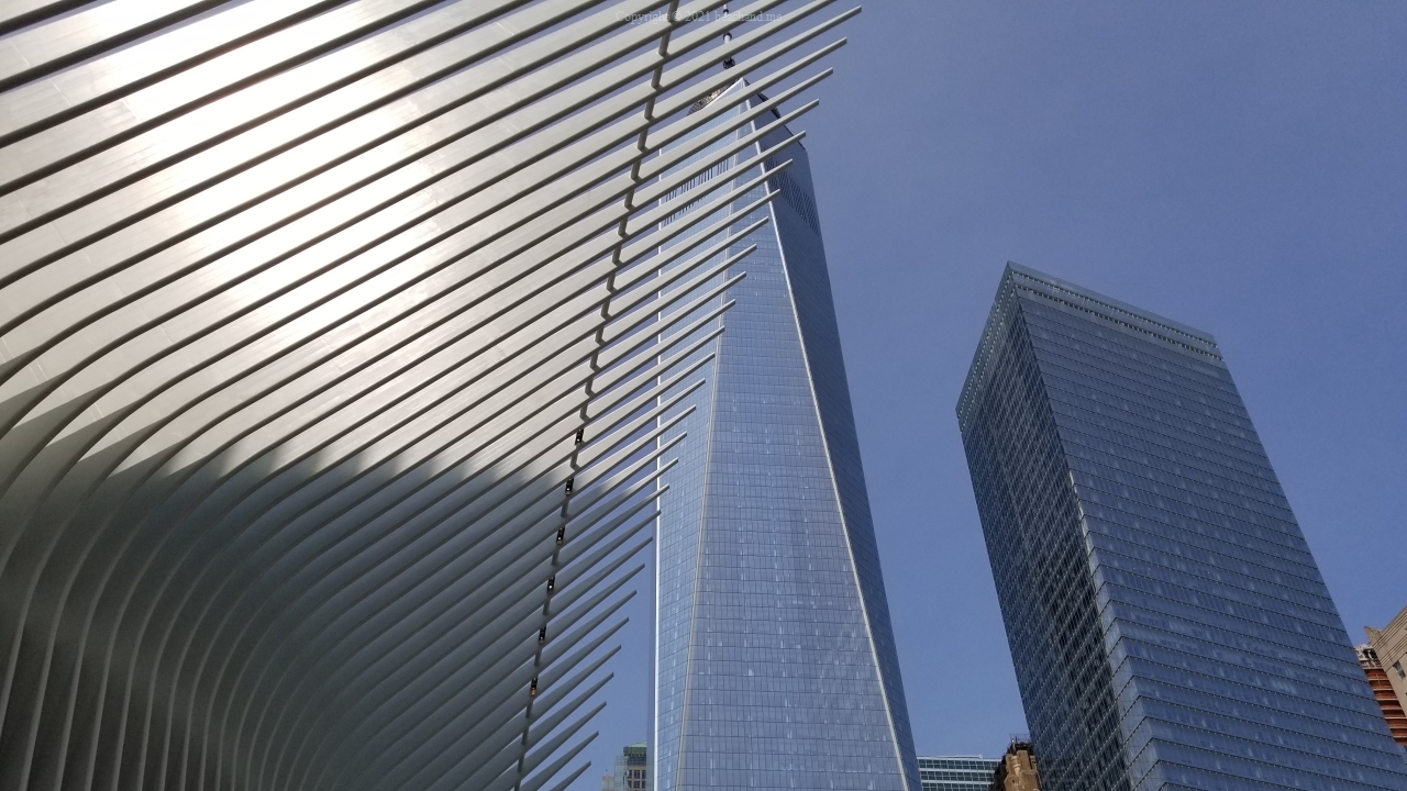 NY City